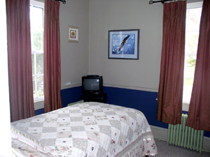 Bedroom with twin bed
